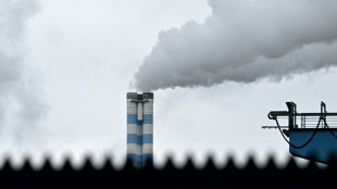 Los mayores contaminantes dejan una factura astron&oacute;mica, seg&uacute;n un estudio