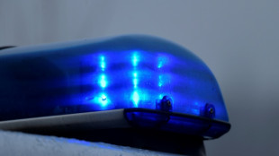 Polizeianw&auml;rter in Berlin bei verbotenem Autorennen gestoppt