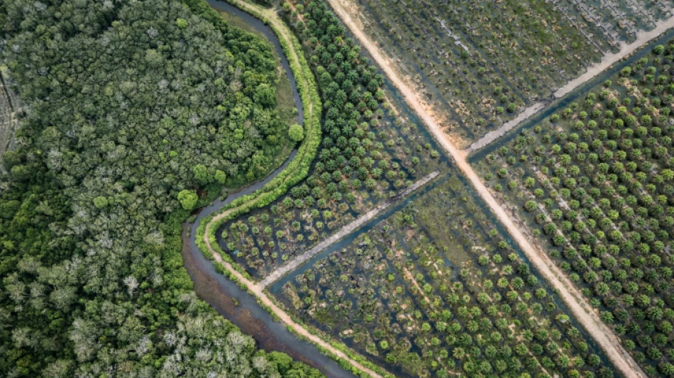 Bruxelles propose d'assouplir sa loi antid&eacute;forestation pour faciliter sa mise en oeuvre