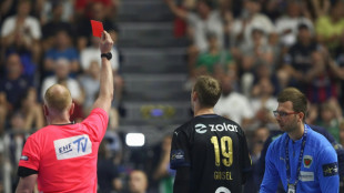 F&uuml;chse trotzen Gidsel-Rot - deutsches Finale gegen Magdeburg