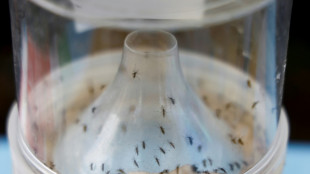 Chikungunya: recul du nombre de cas import&eacute;s de la R&eacute;union