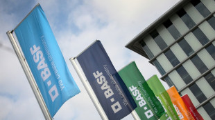 R&uuml;ckzug aus Uiguren-Region: BASF schlie&szlig;t Verkauf chinesischer Joint-Ventures ab