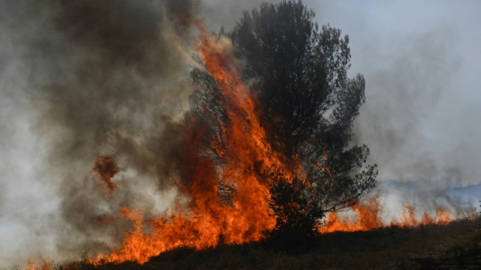 Les grands incendies de for&ecirc;t, fl&eacute;au r&eacute;current en France