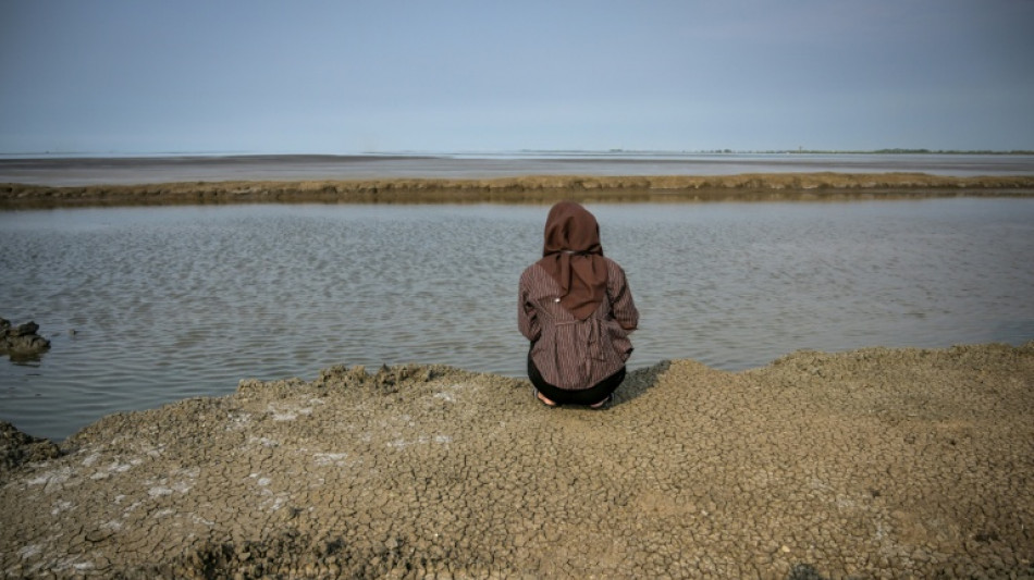 Two decades later, impacts from Indonesia mud volcano linger