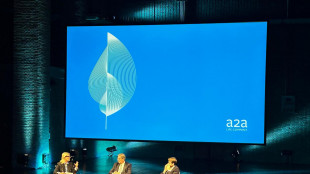 Tasca (A2A), per aziende &egrave; tempo sviluppo ricerca e innovazione