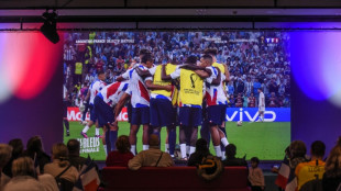 Finale du Mondial: 24 millions de t&eacute;l&eacute;spectateurs sur TF1, "record historique d'audience"