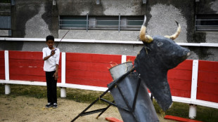 La propuesta para prohibir las corridas a los menores de 16 a&ntilde;os indigna a los aficionados en Francia