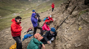 Chili: d&eacute;couverte de quatre type de dinosaures dont un megaraptor