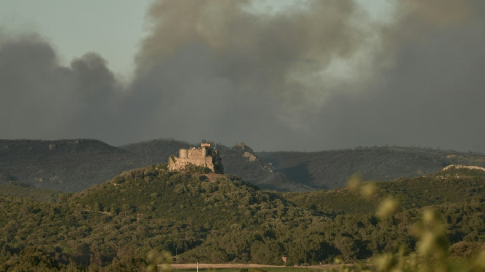 Narbonne: 2.000 hectares parcourus par l'incendie, les habitants h&eacute;b&eacute;t&eacute;s