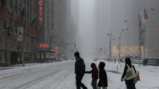 Copernicus: Januar 2026 war trotz regionaler K&auml;ltewellen f&uuml;nftw&auml;rmster Januar &uuml;berhaupt