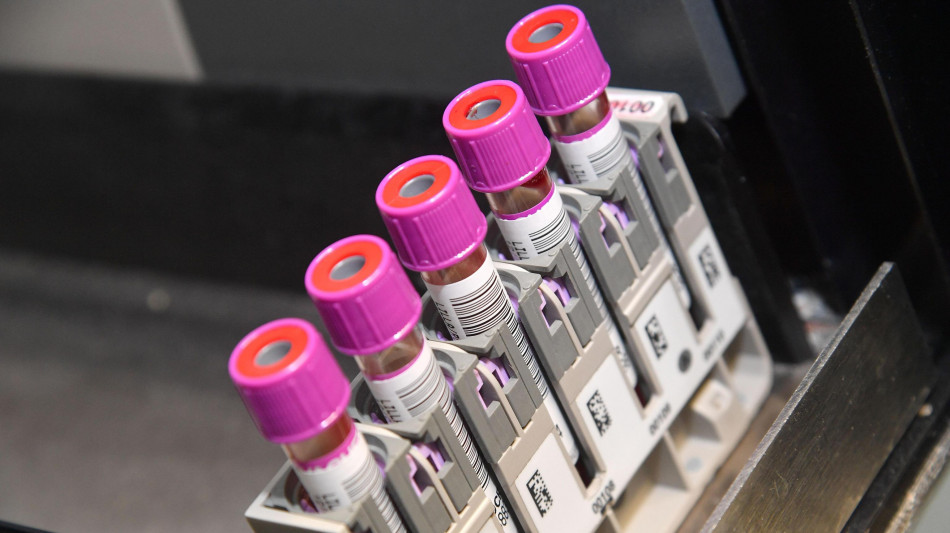 Il tumore del colon-retto ora è visibile dal sistema immunitario