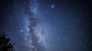 Des dizaines d'&eacute;toiles filantes par heure au programme des Nuits des &eacute;toiles