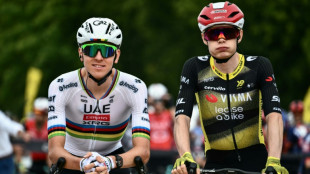 Tour de France: le ton monte entre Pogacar et l'&eacute;quipe de Vingegaard