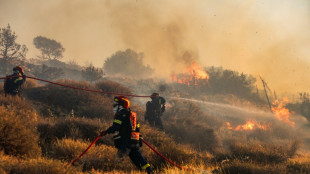 Gr&egrave;ce: des milliers de touristes &eacute;vacu&eacute;s en raison d'un incendie en Cr&egrave;te