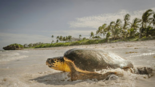 Líderes mundiales se reúnen en Niza para abordar las amenazas sobre los océanos