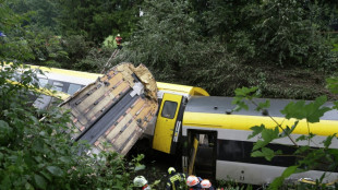 Erdrutsch wohl Ursache des Zugungl&uuml;cks in Baden-W&uuml;rttemberg 