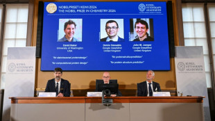 Chemie-Nobelpreis geht an drei Forscher aus den USA und Gro&szlig;britannien