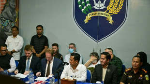 UK grandmother leaves Indonesia death row to return home