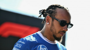 Hamilton diz que tomou a 'decisão mais difícil' ao se despedir de seu cachorro Roscoe