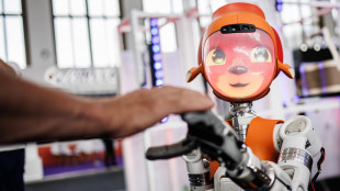 Pronta la pelle elettronica che dà ai robot il senso del tatto