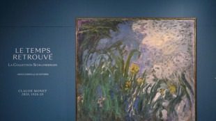 Two unseen Monet paintings to be sold in Paris: auction house 