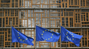 Zollstreit mit USA: CDU-Europapolitiker Caspary will sich nicht "herumschubsen lassen"