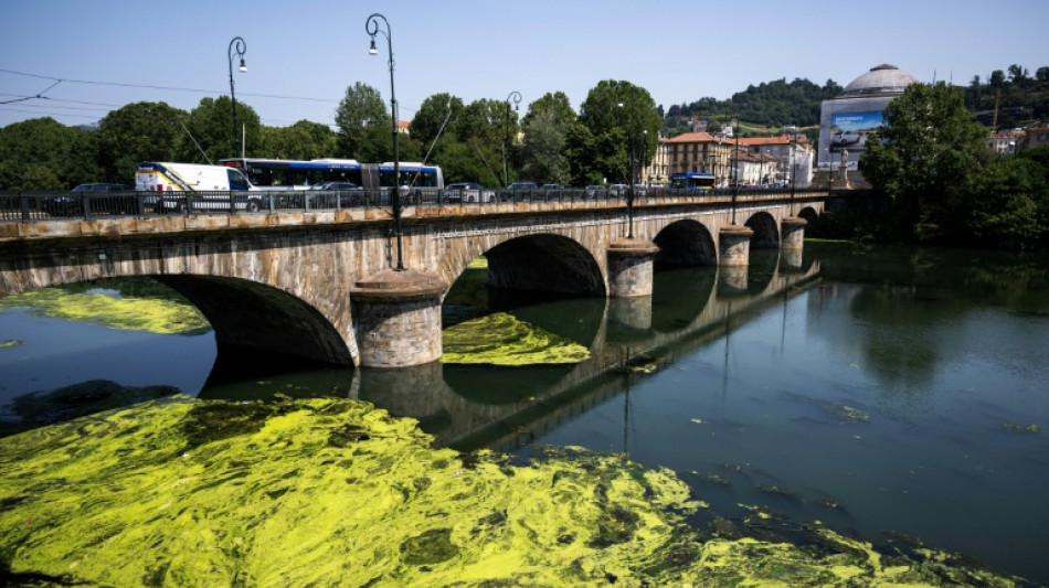Avec la canicule, les algues tapissent le P&ocirc; &agrave; Turin