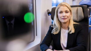Bahn-Chefin Palla erwartet keine Verbesserung bei Pünktlichkeit im Fernverkehr