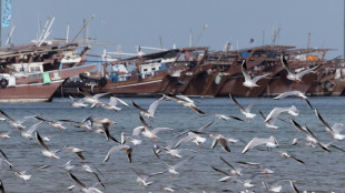 Cient&iacute;ficos de EEUU creen posible transformar la humedad de los oc&eacute;anos en agua potable
