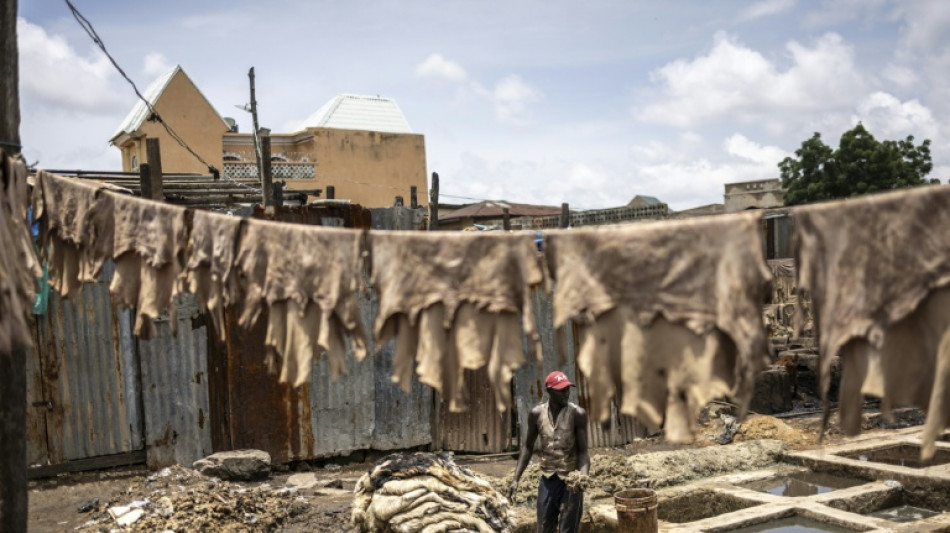 Pl&eacute;biscit&eacute; par les grandes maisons de luxe, le cuir "Made in Nigeria" se trace un avenir local