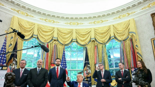 Trump hails 'breakthrough' US-UK trade deal