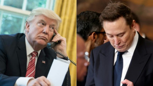 From allies to enemies: the cost of a Musk-Trump split