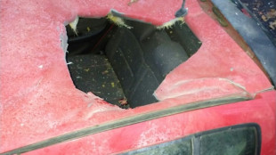 Interrogations autour d'une possible chute de m&eacute;t&eacute;orite &agrave; Strasbourg