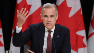 Carney vows to transform Canada economy to withstand Trump