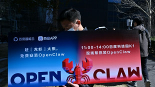 AI agent future is coming, OpenClaw creator tells AFP