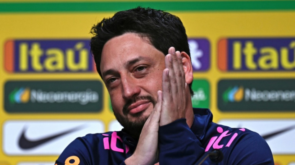 Brazil name Elias to coach women's national team