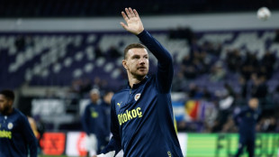 Aos 39 anos, Dzeko retorna à Serie A com a Fiorentina