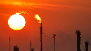 Opep+ mantém calendário de produção apesar de baixo preço do petróleo