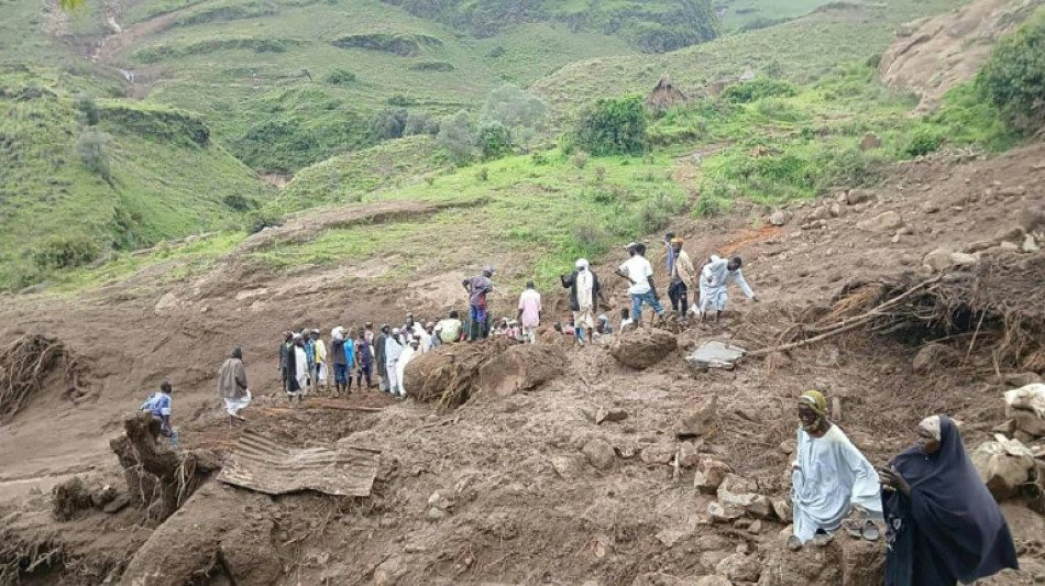 Un deslizamiento de tierra arrasa una aldea de Sud&aacute;n y deja m&aacute;s de 1.000 muertos