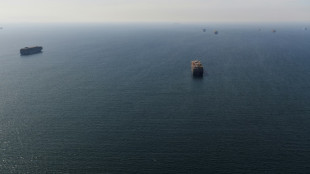 Session de rattrapage &agrave; l'ONU pour tenter de prot&eacute;ger la haute mer