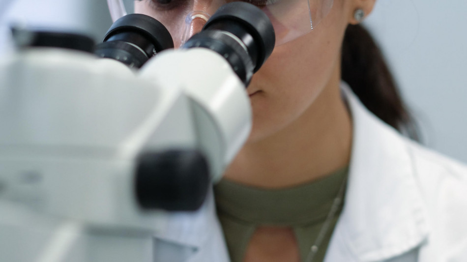Osservate per la prima volta le cellule viventi di un animale antartico