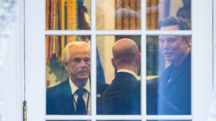 Musk brands Trump aide 'dumber than a sack of bricks' in tariff spat