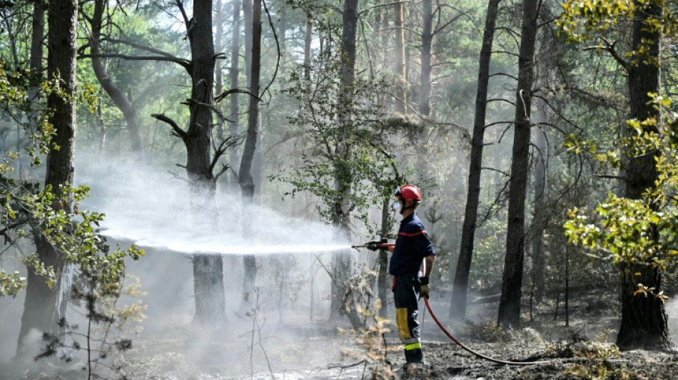 Incendie de Fontainebleau : "Pas de risque de r&eacute;activation de feu" aux abords de l'A6, selon les sapeurs-pompiers