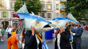 UN summit celebrates ocean protections, but drops fossil fuels