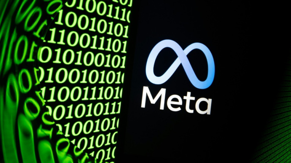 Un magnat australien poursuit Meta pour briser son immunit&eacute; sur les publicit&eacute;s frauduleuses