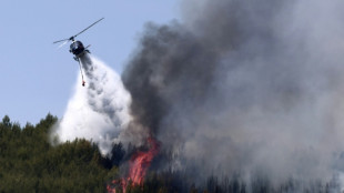 Am&eacute;lioration sur le front des incendies dans le Var et en Corse