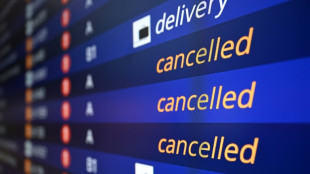 EU-Staaten und Abgeordnete verhandeln wieder um Entsch&auml;digung bei Flugversp&auml;tung
