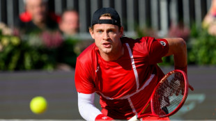 Czechs level Davis Cup tie against USA as South Korea eye Finals
