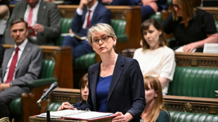 Reino Unido anuncia reformas para "erradicar" las bandas pedocriminales