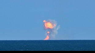 Neuer Test von Starship-Rakete im Beisein Trumps - diesmal kein R&uuml;ckholman&ouml;ver